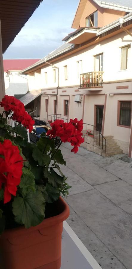 Hostel „La Galan” Радівці Екстер'єр фото
